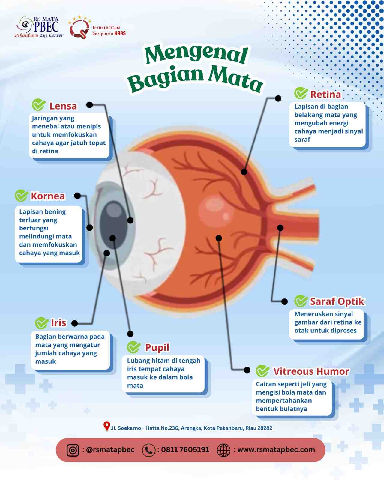 Mengenal Bagian Mata dan Fungsinya