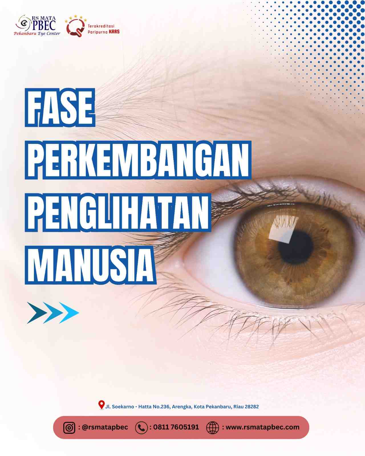 Fase Penglihatan Manusia Berdasarkan Usia